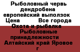 Рыболовный червь дендробена (европейский выползок › Цена ­ 125 - Все города Охота и рыбалка » Рыболовные принадлежности   . Алтайский край,Яровое г.